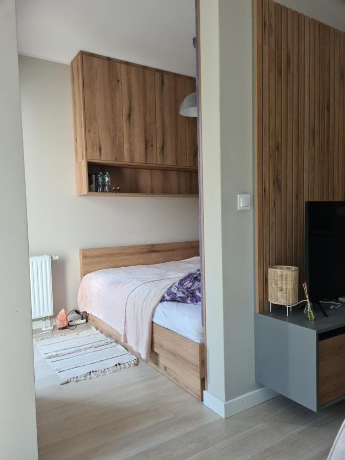 Mostowa 23 Bruno Apartment, Self Check-In 24H, Free Parking, Air-Conditioning 波兹南 外观 照片